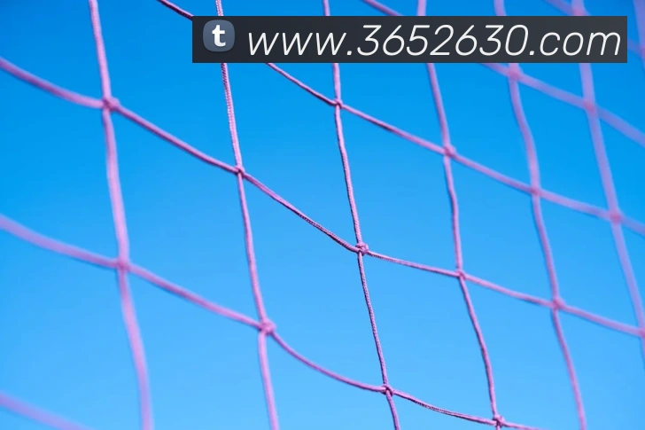 bet365发展历程
